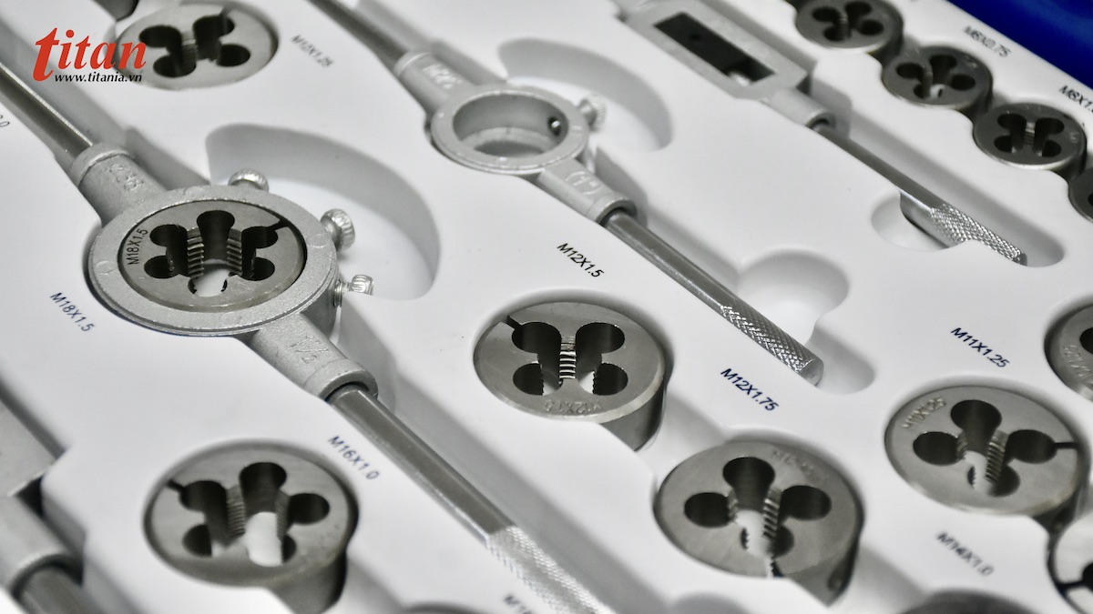 Cây taro ren trong FERVI