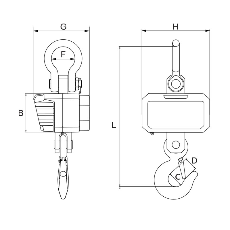 DIGITAL CRANE SCALES thumbnail 2