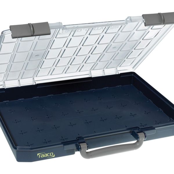 Hộp lưu trữ raaco Carry-Lite 55, lưới 5 x 10