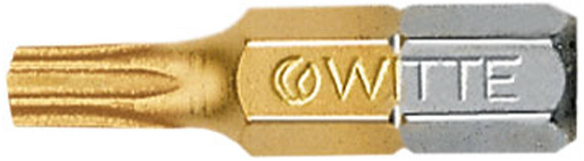 2959- Mui vit sao Torx co lo phu Titan DIN ISO1173 tu TR10-TR40 WITTE