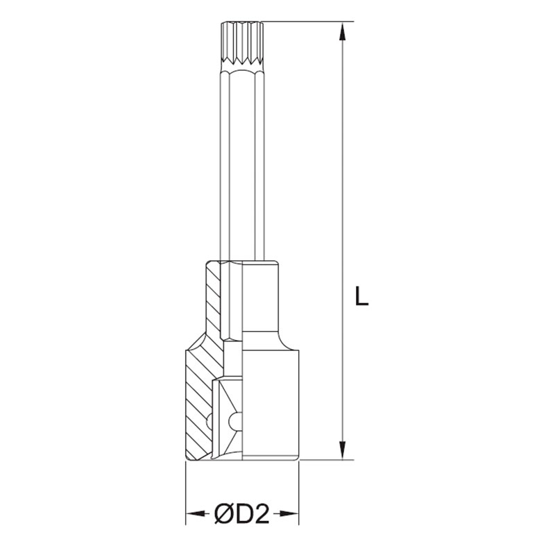 LONG XZN BIT SOCKET