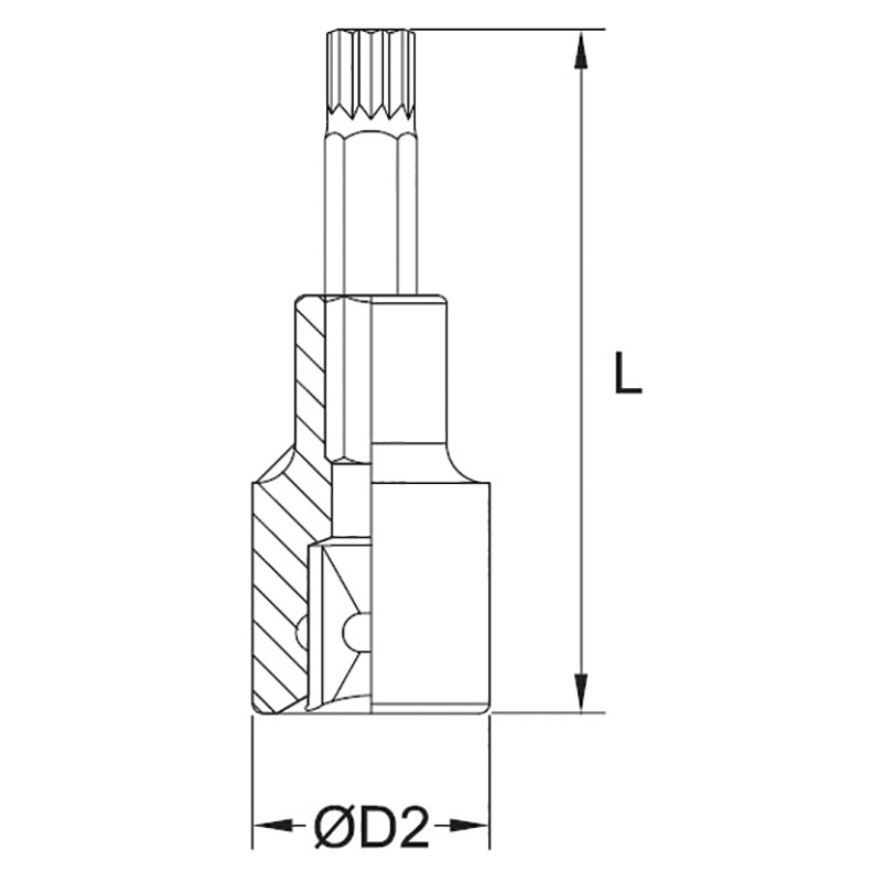 XZN BIT SOCKET thumbnail 2