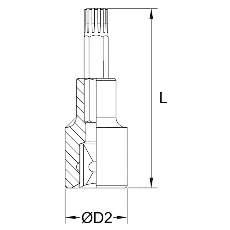 RIBE BIT SOCKET thumbnail 2