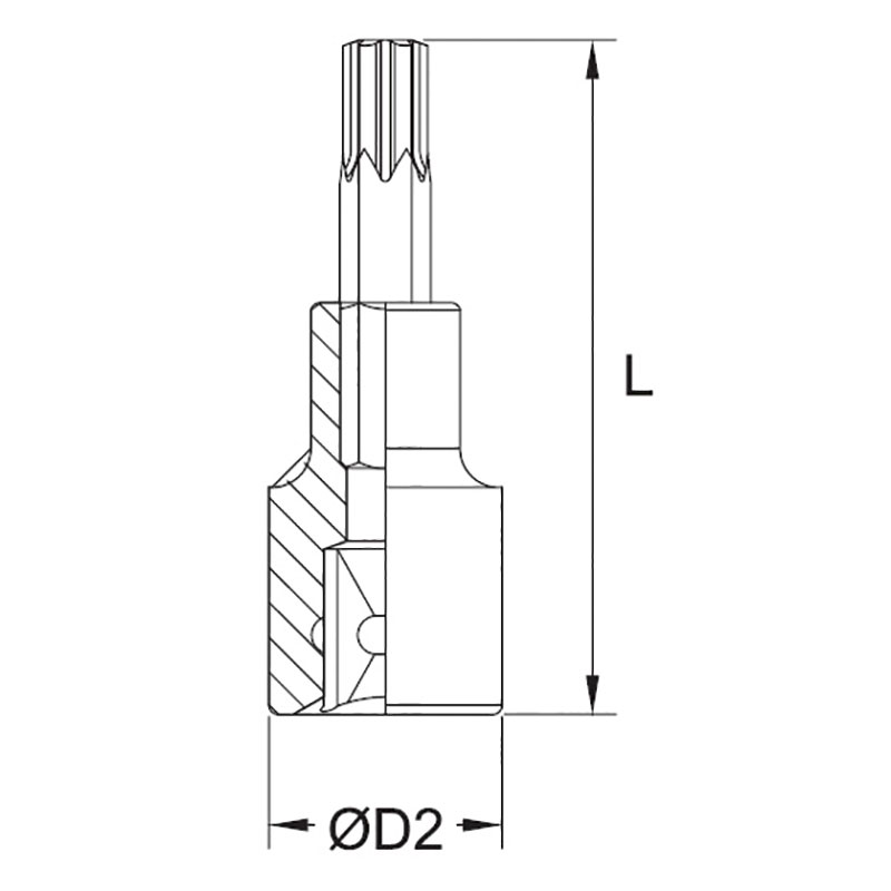 TORX BIT SOCKET thumbnail 2