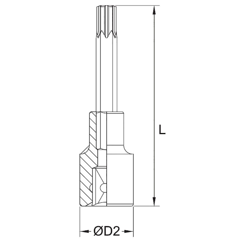 LONG TORX BIT SOCKET thumbnail 2