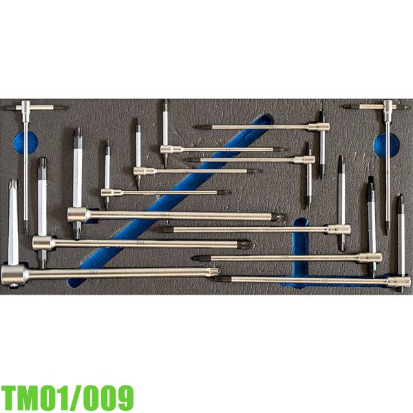 Bộ lục giác đầu sao chữ T FERVI TM01/009, 13 chi tiết T6-T50